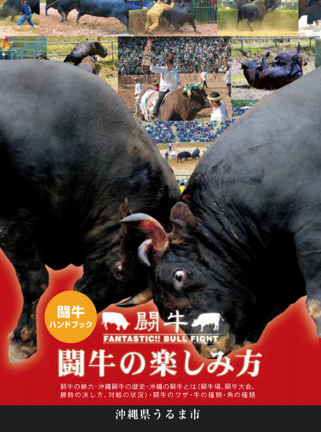 闘牛の楽しみ方