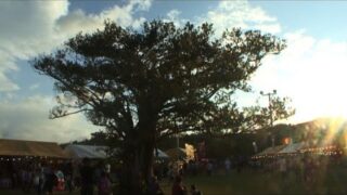 Thumbnail of post image 172