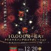 第1回 クリスマス音楽花火フェスティバル in 沖縄のポスター