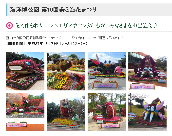 第10回 海洋博公園美ら海花まつり