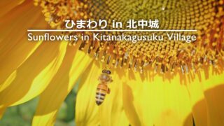 Thumbnail of post image 104