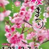 2016年1月23日（土）～2月7日（日）第38回 本部（もとぶ）八重岳桜まつりのポスター