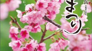 2016年1月23日（土）～2月7日（日）第38回 本部（もとぶ）八重岳桜まつりのポスター