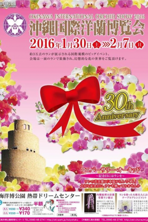 沖縄国際洋蘭博覧会2016 / 本部町・海洋博公園内 熱帯ドリームセンター　フライヤー1