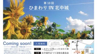 第10回ひまわり IN 北中城のフライヤー2