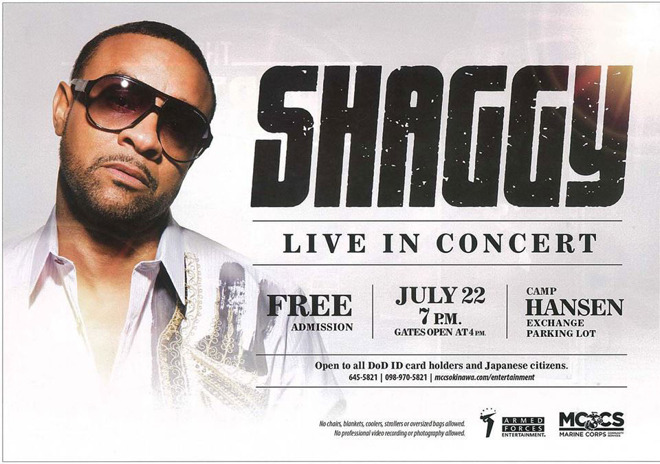 シャギー無料コンサートのフライヤー