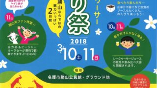 第14回 勝山シークヮーサー花香り祭フライヤー1